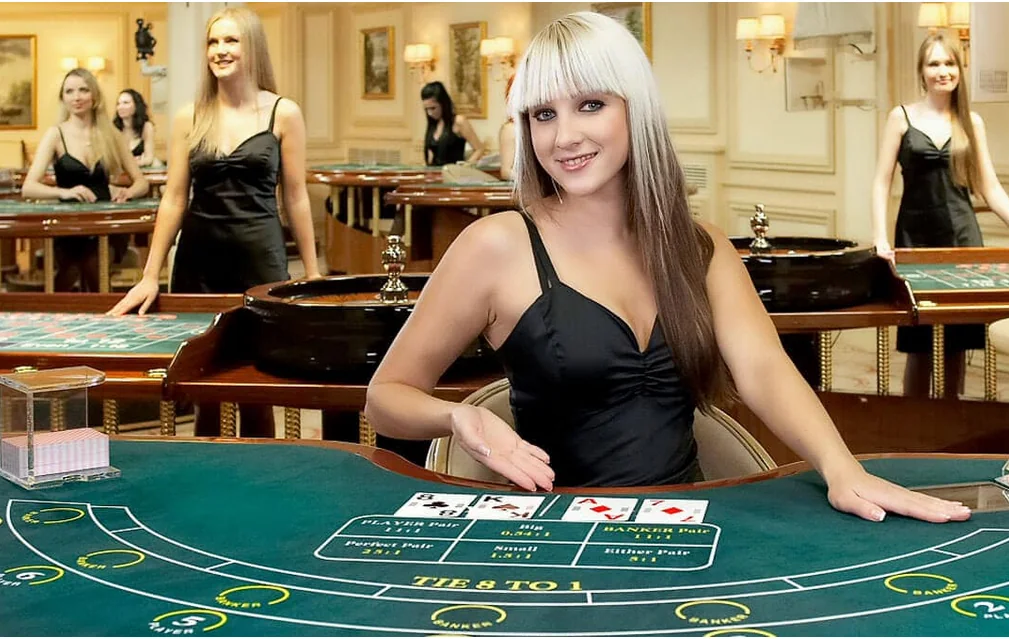 Tampilan meja kasino live API33 dengan dealer dan layar permainan